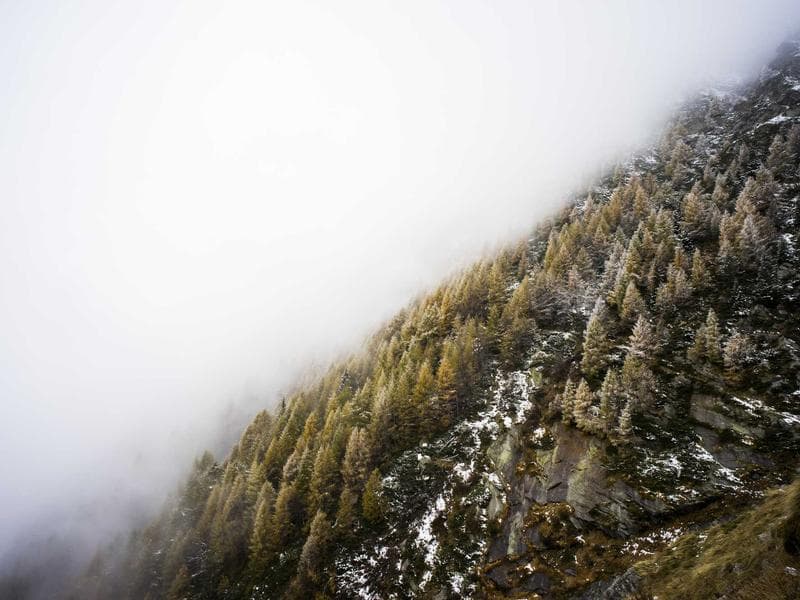 Résidence Permanente Canada : Les 5 Meilleures Voies